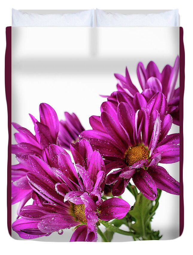 Purple Daisy Flower Photo Wall Art Duvet Cover featuring the photograph Purple Daisy Flower Photo Art by Gwen Gibson