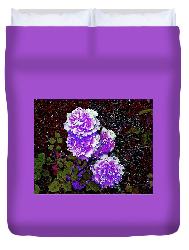 Flower Duvet Cover featuring the photograph Purple Down Shot by Andrew Lawrence