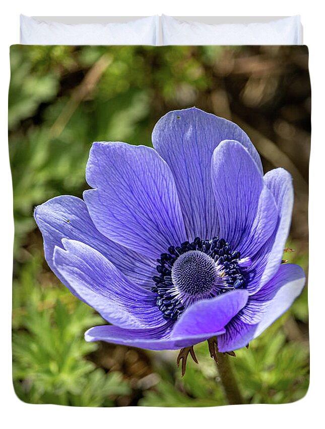 Indigo Duvet Cover featuring the photograph Purple Flower by Rick Nelson