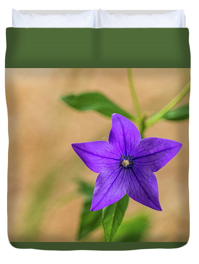 Flower Duvet Cover featuring the photograph Purple Flower with Tan by Amelia Pearn