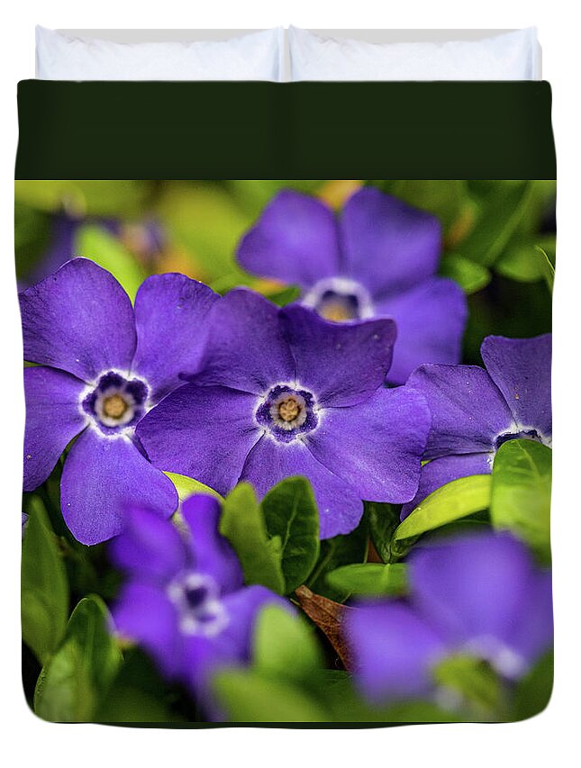 Plants Duvet Cover featuring the photograph Purple Flowers In The Garden by Amelia Pearn