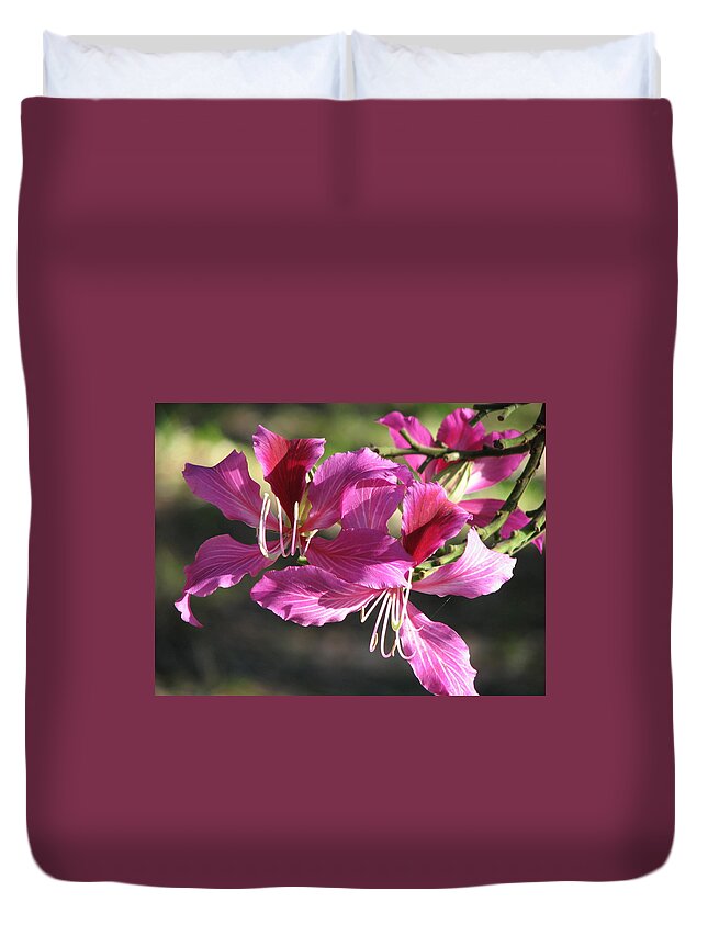 Hong Duvet Cover featuring the photograph Purple Hong Kong Orchid Flower by Ian Sands