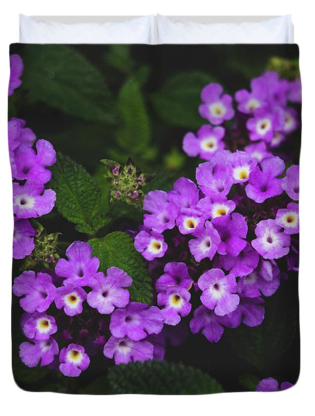 Flowers & Plants Duvet Cover featuring the photograph Purple Lantana by Adam Johnson