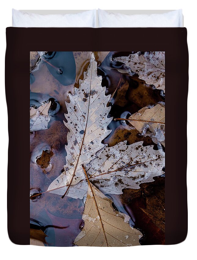 Purple Duvet Cover featuring the photograph Purple Leaves by Iris Greenwell