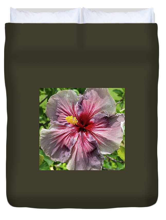 Hibiscus Duvet Cover featuring the photograph Purple Midnight by Tony Spencer