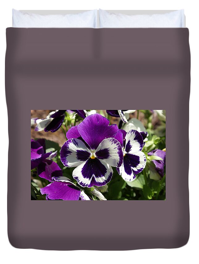  Duvet Cover featuring the photograph Purple Pansy by Heather E Harman