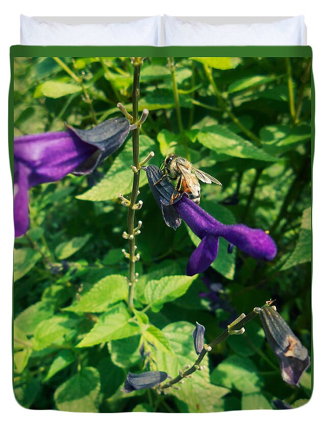 Purple Duvet Cover featuring the photograph Purple Salvia Bee by W Craig Photography