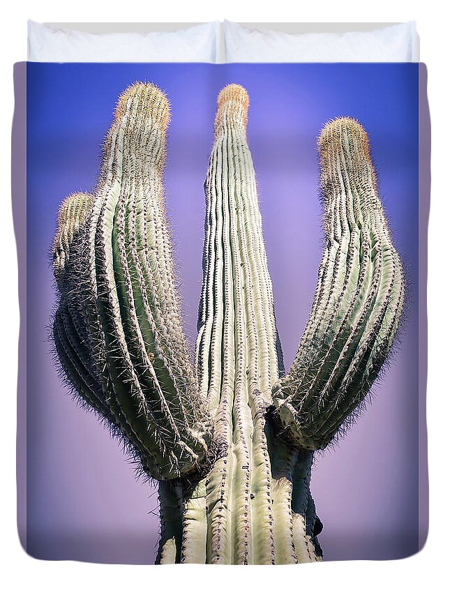 Atmospheric Duvet Cover featuring the photograph Purple Sky Saguaro by Jennifer Wright