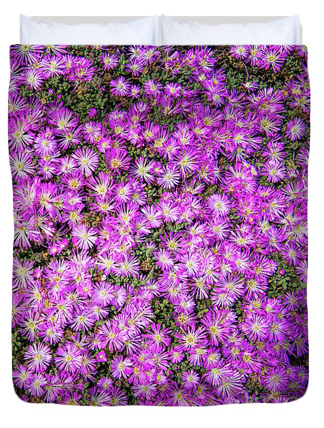 Ca Route 1 Duvet Cover featuring the photograph Purplish Pinkish Blooms by David Levin
