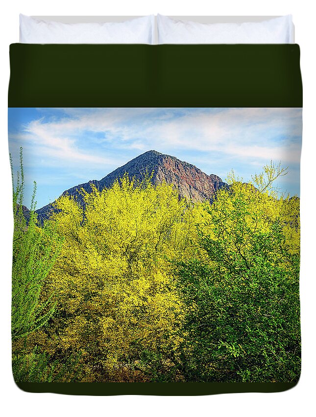 Arizona Duvet Cover featuring the photograph Pusch Peak Spring 25093 by Mark Myhaver