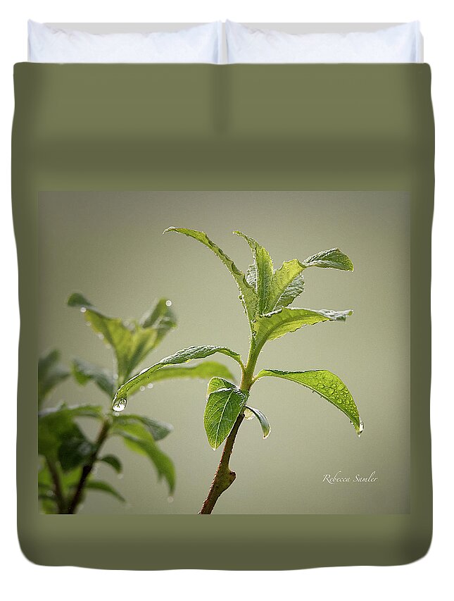 Pussy Willow Duvet Cover featuring the photograph Pussy Willow by Rebecca Samler