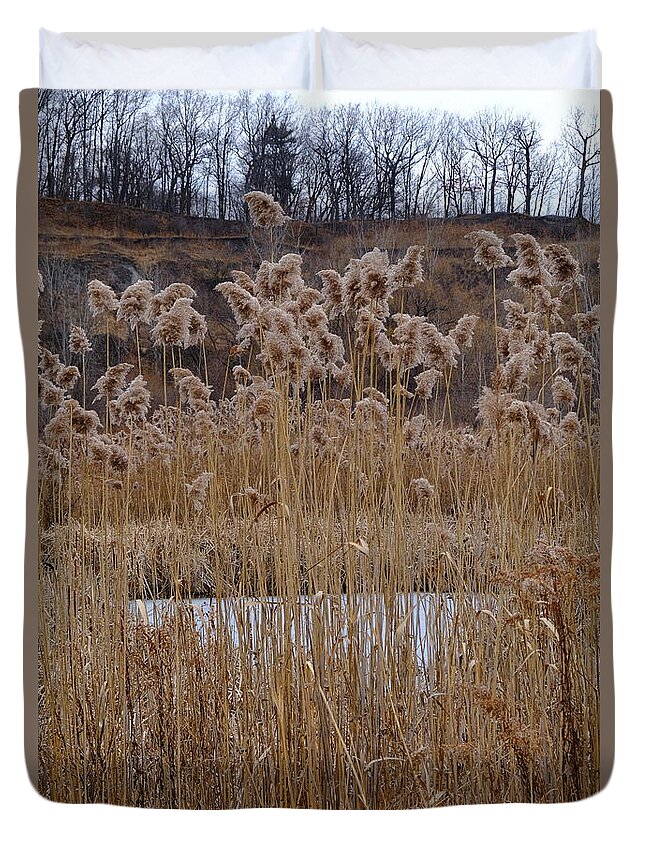 Nature Duvet Cover featuring the photograph Quarry Whisps And Pond by Kreddible Trout