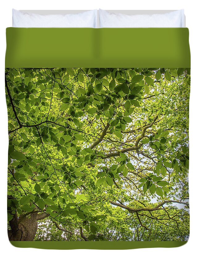 Queen's Wood Duvet Cover featuring the photograph Queen's Wood Trees Spring 5 by Edmund Peston