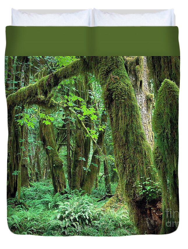00173596 Duvet Cover featuring the photograph Quinault Rain Forest by Tim Fitzharris