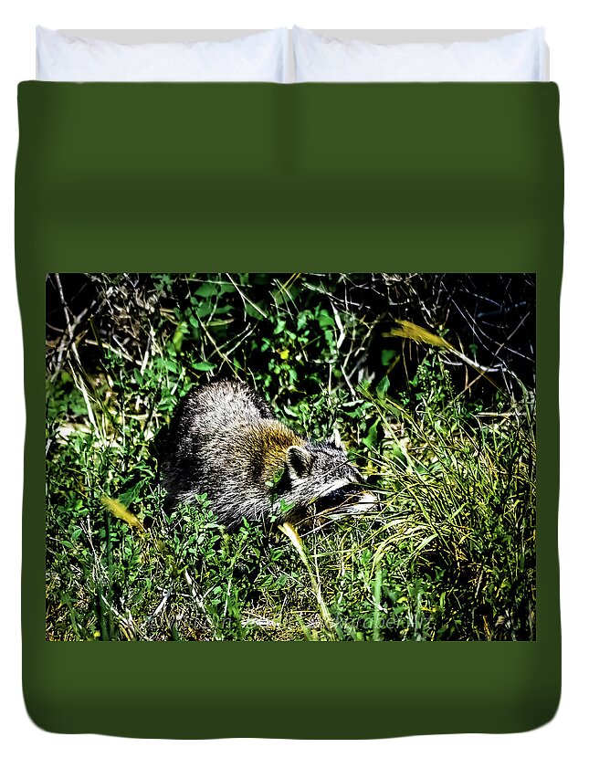 Raccoon Duvet Cover featuring the photograph Raccoon by William Dickgraber