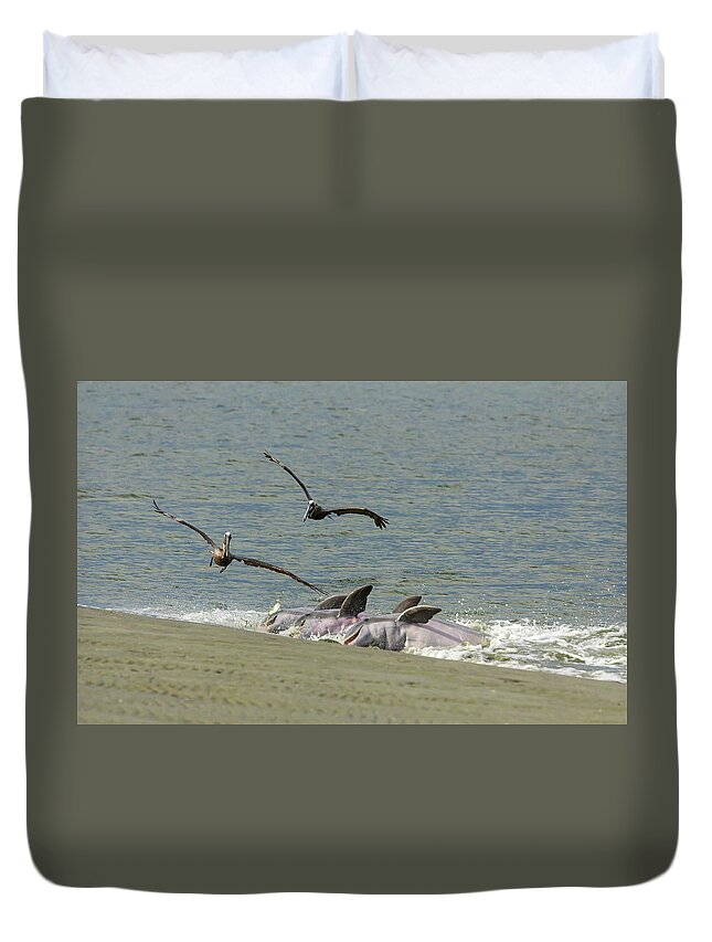 Dolphin Duvet Cover featuring the photograph Race for the Fish by Patricia Schaefer