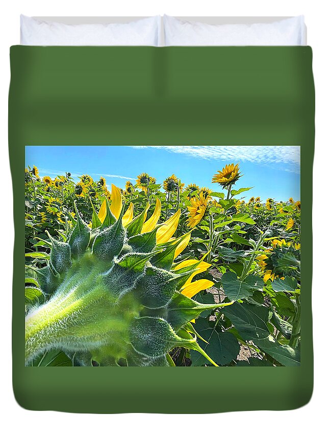 Sunflower Duvet Cover featuring the photograph Radar Love by Lee Darnell