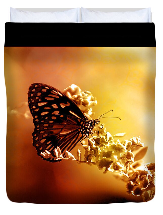 Butterfly Duvet Cover featuring the photograph Radiance by Holly Kempe