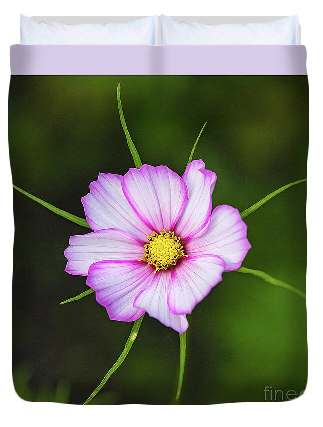 Gouda Duvet Cover featuring the photograph Radiant flower by Casper Cammeraat