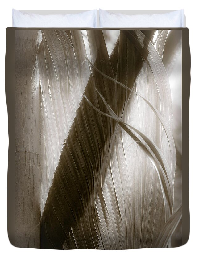 Como Zoo Duvet Cover featuring the photograph Ragged Wings Shivered Kisses by Cynthia Dickinson
