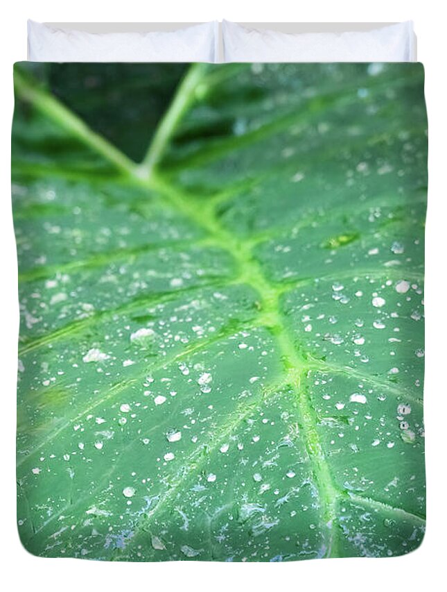 Leaf Duvet Cover featuring the photograph Rain Drops On Elephant's Ear by Steven Sparks
