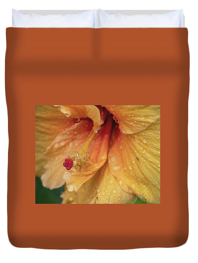 Hibiscus Duvet Cover featuring the photograph Rain Kissed by M Kathleen Warren