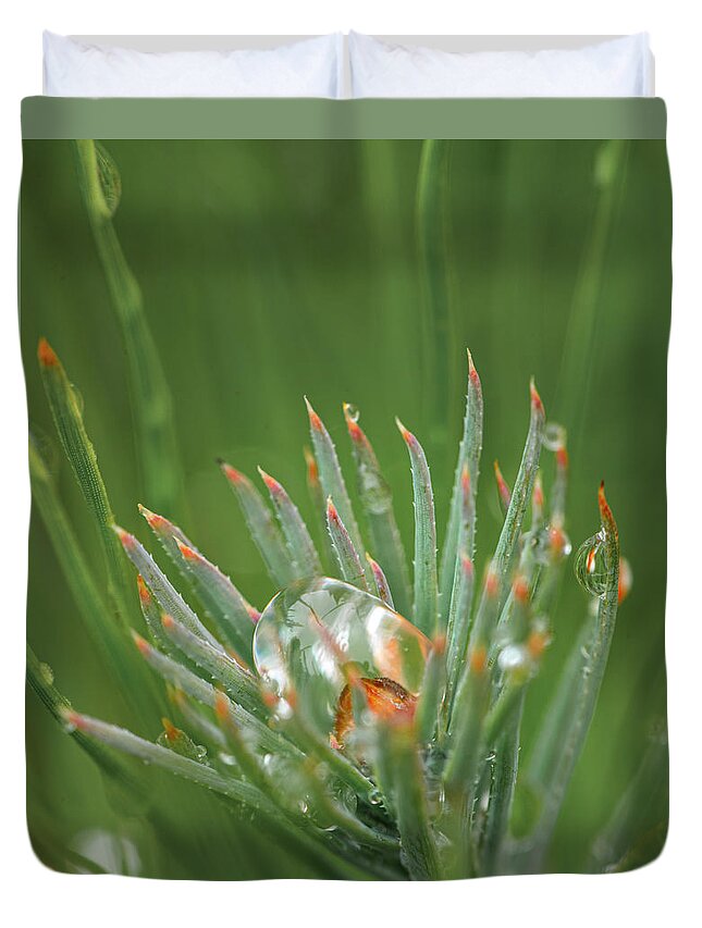 Rain Duvet Cover featuring the photograph Rain On Pine Bud by Karen Rispin