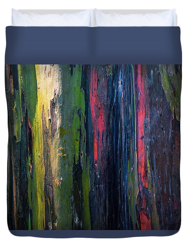 Rainbow Duvet Cover featuring the photograph Rainbow Forest by Ryan Manuel