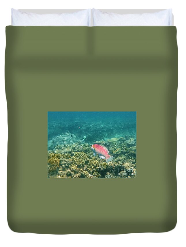 Great Barrier Reef Duvet Cover featuring the photograph Rainbow Parrotfish by Bob Phillips