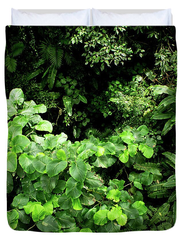 Rainforest Duvet Cover featuring the photograph Rainforest Canopy by Nicklas Gustafsson