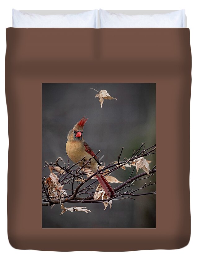 Cardinal Duvet Cover featuring the photograph Rainy Day Cardinal by Mindy Musick King