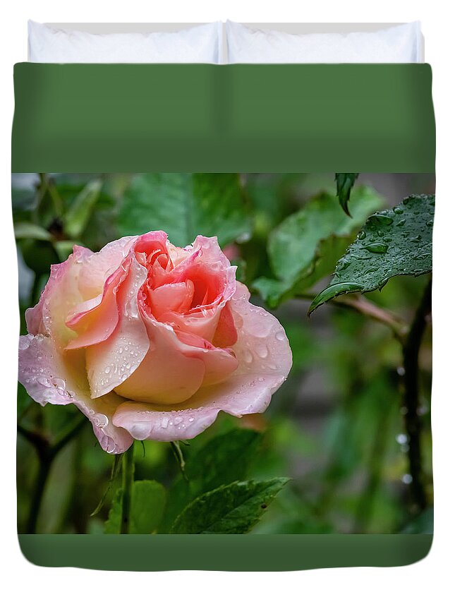 Rose Duvet Cover featuring the photograph Rainy Rose by Cathy Kovarik