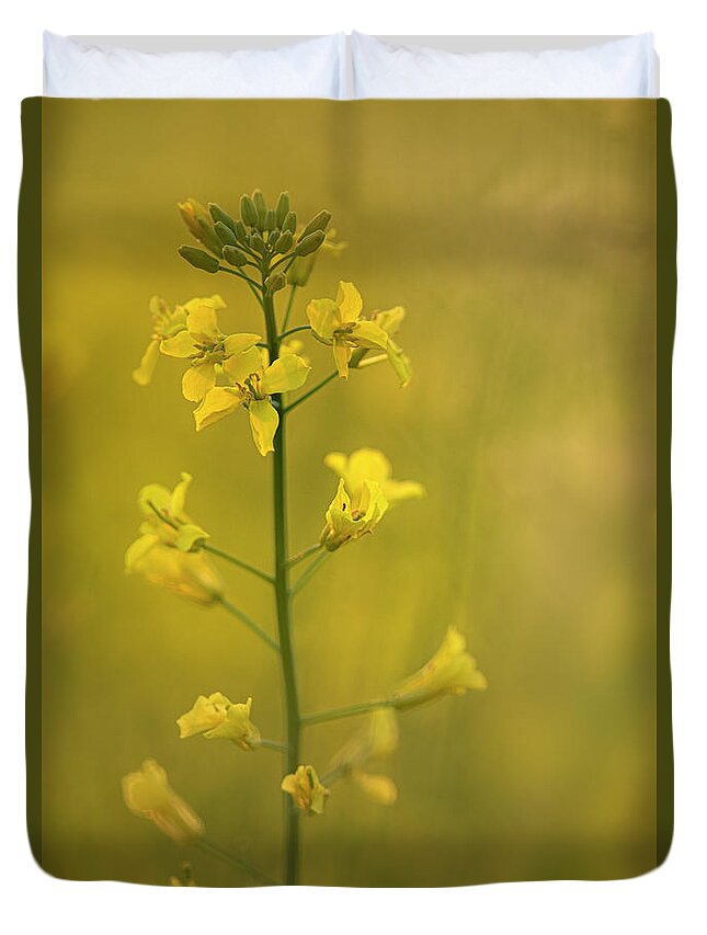 Rapeseed Duvet Cover featuring the photograph Rapeseed flowers by Karen Rispin