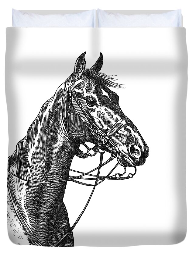 Horse Duvet Cover featuring the digital art Ready To Ride by Madame Memento