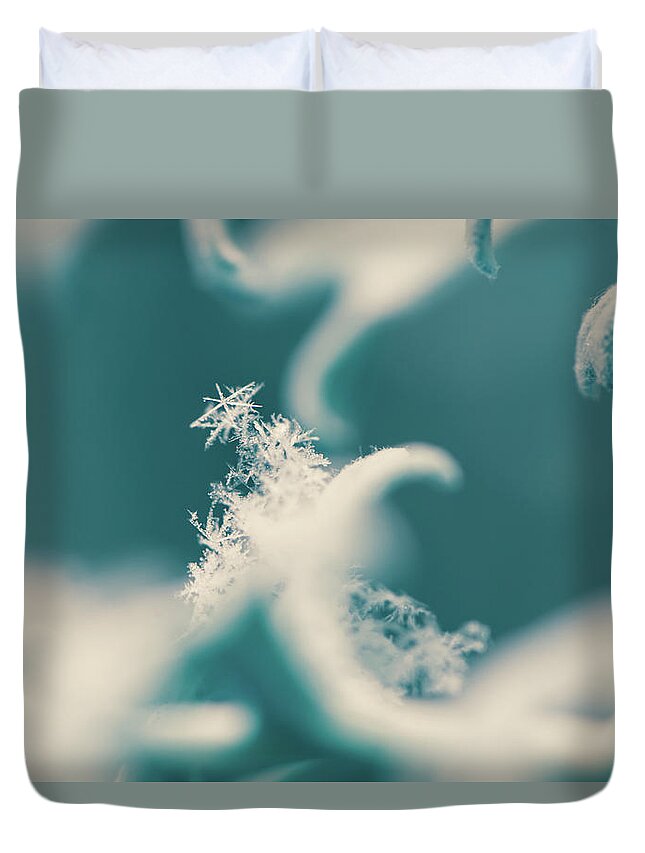 Snowflake Duvet Cover featuring the photograph Snowflakes on Dusty Miller by Naomi Maya