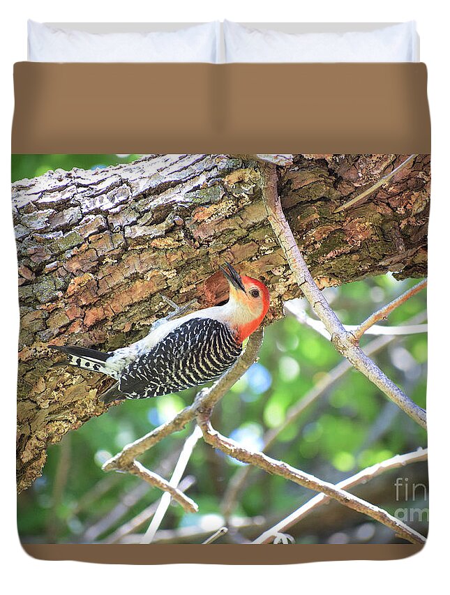 Woodpeckers Duvet Cover featuring the photograph Red-bellied Woodpecker by Anita Streich