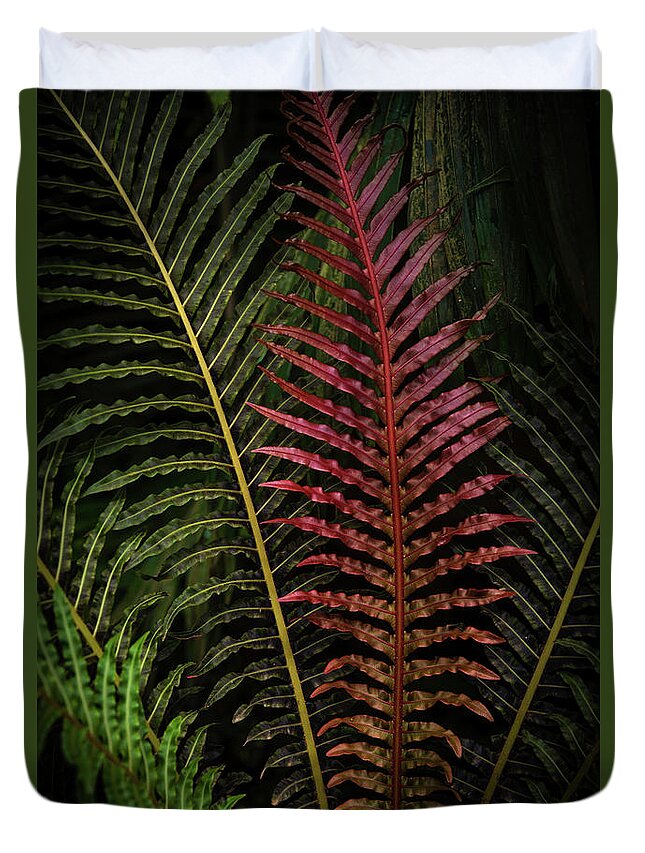 Jenny Rainbow Fine Art Photography Duvet Cover featuring the photograph Red Brazilian Tree Fern Leaves - Dark Tropics 1 by Jenny Rainbow