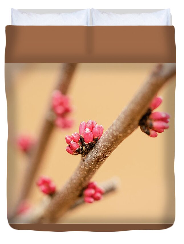 Eastern Red Bud Tree Duvet Cover featuring the photograph Red Bud Buds by Joni Eskridge