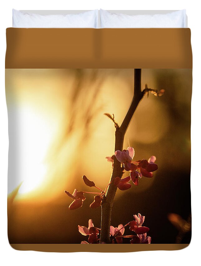 Eastern Red Bud Tree Duvet Cover featuring the photograph Red Bud Sunset by Joni Eskridge