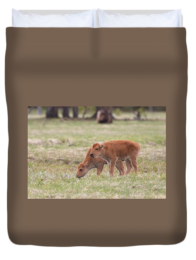 Bison Duvet Cover featuring the photograph Red Dog by Julie Argyle