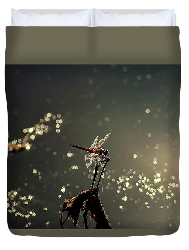 Insects Duvet Cover featuring the photograph Red Dragon by Marcus Jones