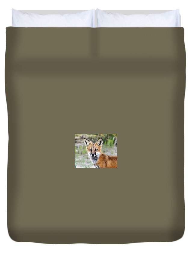 Red Fox Duvet Cover featuring the photograph Red Fox Portrait by Dawn Key