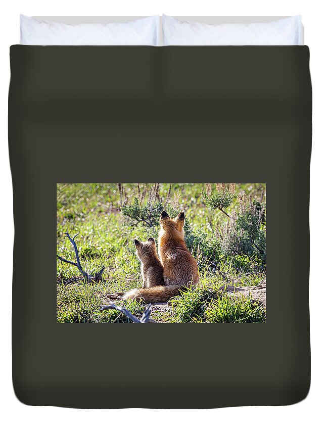 Fox Duvet Cover featuring the photograph Red Fox Vixen and Kit Enjoy the Sunrise by Tony Hake