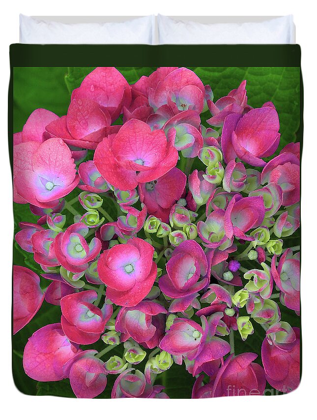 Red Duvet Cover featuring the photograph Red Hydrangea Flowerhead by Scott Cameron