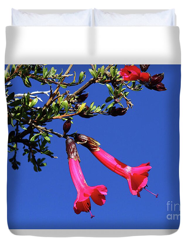 Red Flowers Duvet Cover featuring the photograph Red Kantuta the National Flower of Peru by James Brunker