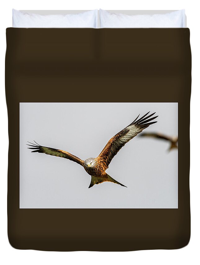 Red Kite Duvet Cover featuring the photograph Red kite eye contact by Mark Hunter