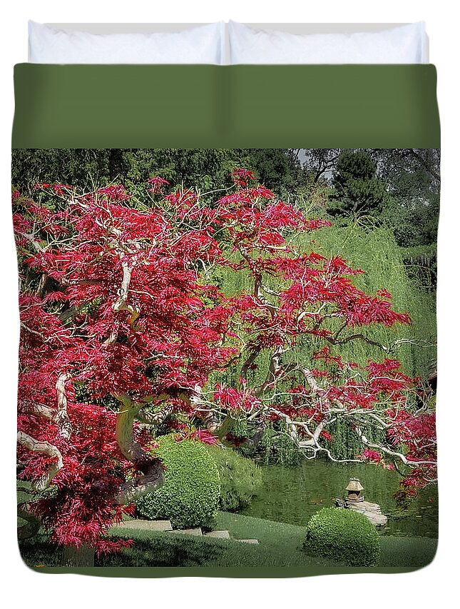 Japanese Maple Duvet Cover featuring the photograph Red Leaf Japanese Maple in a Japanese Garden by Rebecca Herranen