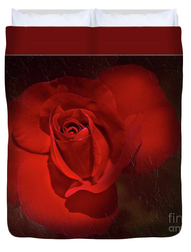 Red Duvet Cover featuring the photograph Red Rose by Elaine Teague