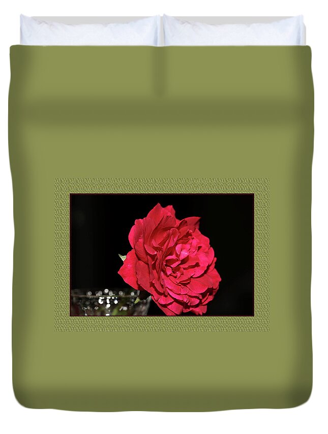 Rose Duvet Cover featuring the photograph Red Rose in A Frame by Mingming Jiang