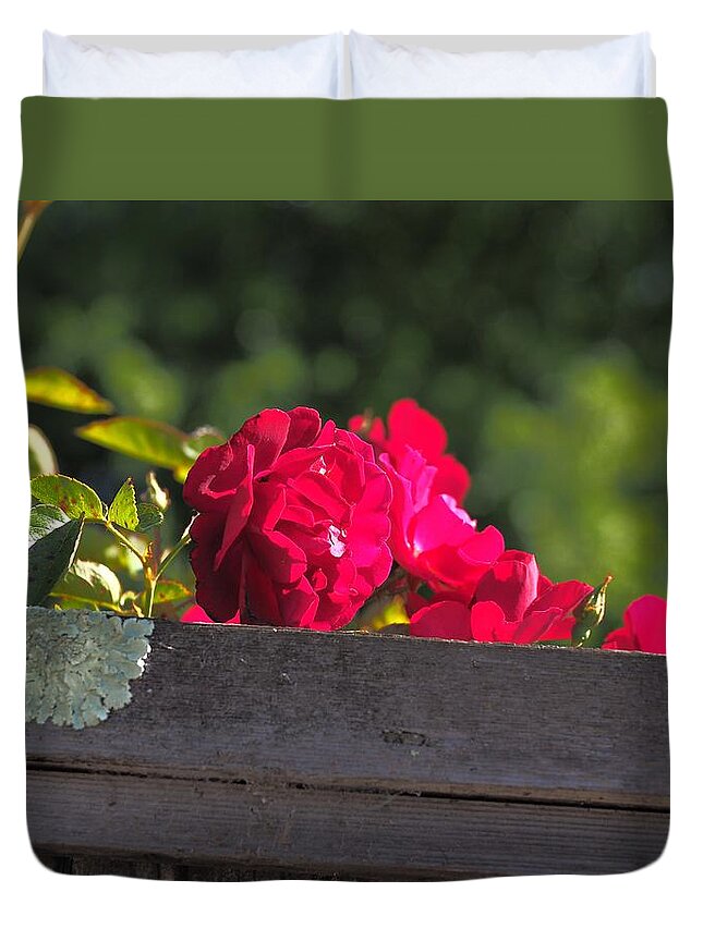 Botanical Duvet Cover featuring the photograph Red Rover Peeking Over by Richard Thomas